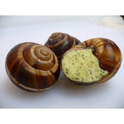 La douzaine d'escargots