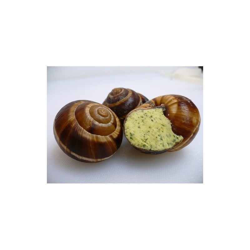 La douzaine d'escargots