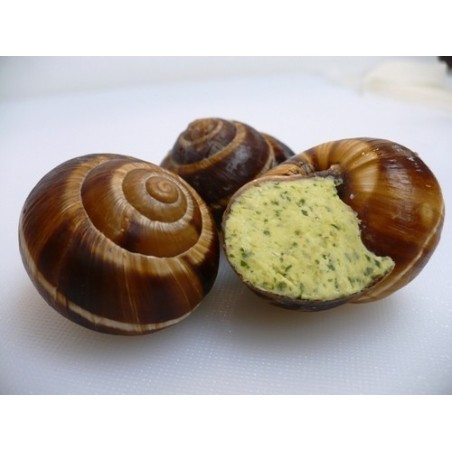 La douzaine d'escargots