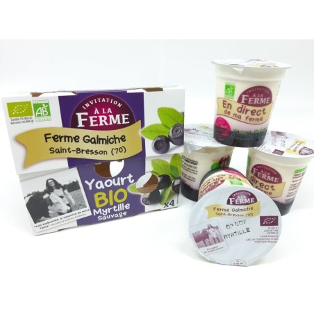 Pack 4 Yaourts Bio Myrtille sauvage