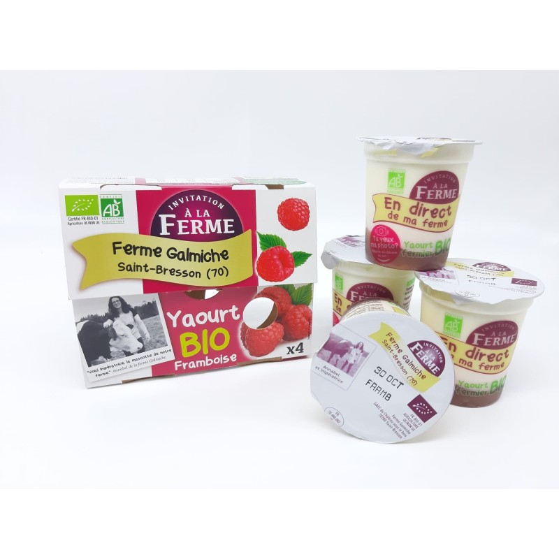 Pack 4 Yaourts Bio Fruits rouges